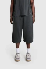 Pesocol Raws Shorts Dark Stone