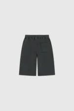 Pesocol Raws Shorts Dark Stone