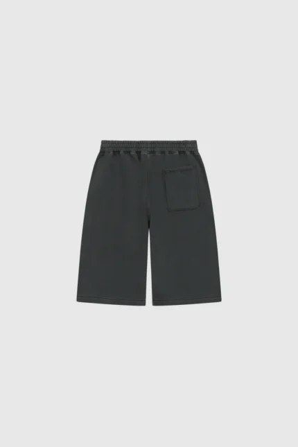 Pesocol Raws Shorts Dark Stone